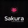 Sakura Logo